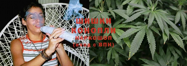 ГАЛЛЮЦИНОГЕННЫЕ ГРИБЫ Алзамай