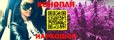 гидропоника Можга