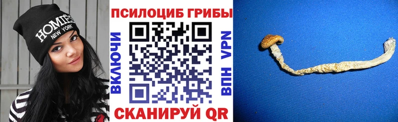 Псилоцибиновые грибы GOLDEN TEACHER  Серпухов 